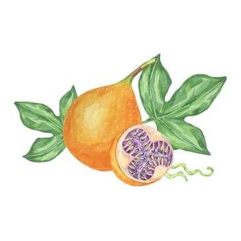 Sweet granadilla watercolor clipart depicting a single orange maracuja with lush green leaves and a cut-open fruit. Perfect for food packaging, recipe cards, and botanical-themed designs