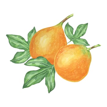 Sweet granadilla watercolor clipart includes two ripe orange fruits with leaves. Use this detailed clipart in digital art, print media, or as decorative elements in food and botanical illustrations