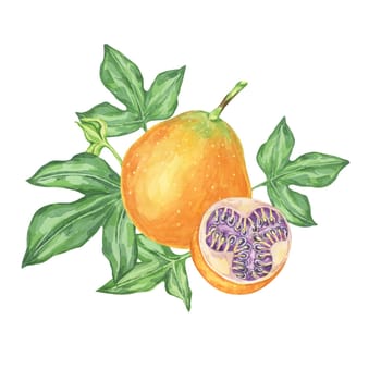 Sweet granadilla watercolor clipart portrays a single orange maracuja with green leaves and a sliced fruit. Perfect for culinary blogs, recipe books, and nature-themed projects
