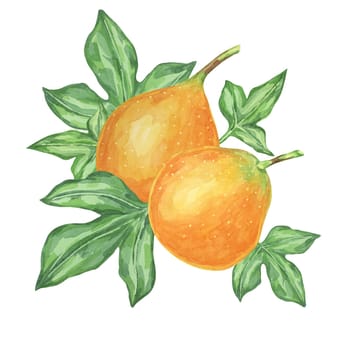 Sweet granadilla watercolor clipart presents two orange maracuja fruits with leaves. Illustration for designing food packaging, educational posters, and fruit-themed art projects