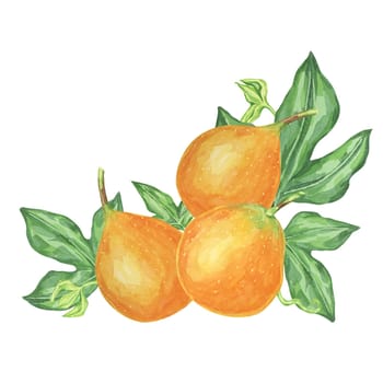 Sweet granadilla watercolor clipart shows three orange maracuja fruits, complete with green leaves. Ideal for product labels, kitchen decor, and educational materials about exotic fruits
