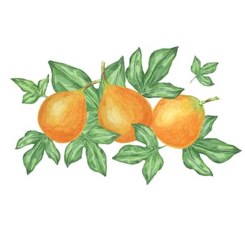 Sweet granadilla watercolor clipart showcases a detailed composition of three fruits and leaves. Maracuja illustration Suitable for blogs, scrapbooking, menu designs, and other creative endeavors