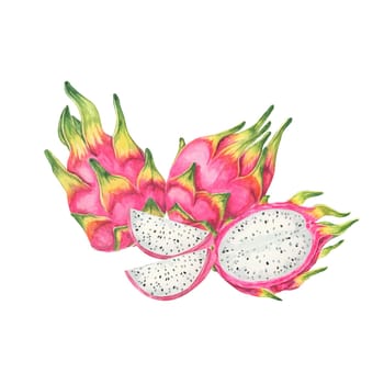 Pitaya watercolor clipart with three pink dragon fruits, two whole and one cut open, highlighting the white flesh with black seeds. Ideal for food packaging, educational posters, and botanical prints