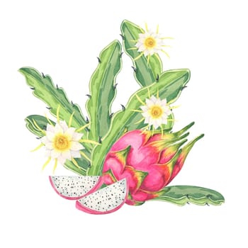 Dragon fruit watercolor clipart featuring two pink fruits, one cut open to display white flesh with black seeds, and yellow flowers. Ideal for recipe cards, food blogs, and botanical-themed projects