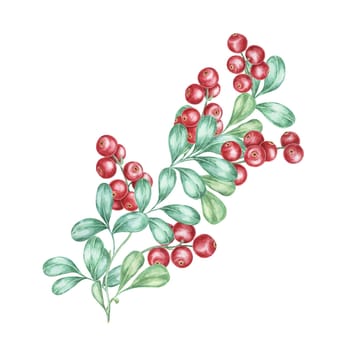 Lingonberries watercolor clipart frame depicting a sprig of red berries with green leaves. Nordic cowberry Perfect for seasonal greeting cards, invitations, and holiday-themed digital projects