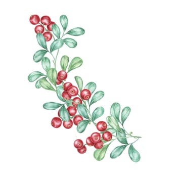 Red berries watercolor clipart featuring a sprig of cranberries with green leaves. Nordic lingonberry illustration Ideal for festive invitations, holiday decorations, and seasonal stationery