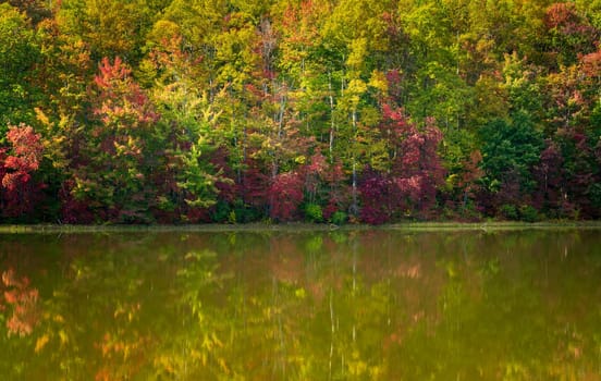 Changing leaves in autumn reflected in calm reservoir in Coopers Rock State Forest near Morgantown, WV