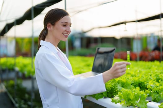 Woman Farmer harvesting vegetable and audit quality from hydroponics farm. Organic fresh vegetable, Farmer working with hydroponic vegetables garden harvesting, small business concepts