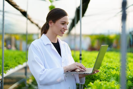 Woman Farmer harvesting vegetable and audit quality from hydroponics farm. Organic fresh vegetable, Farmer working with hydroponic vegetables garden harvesting, small business concepts