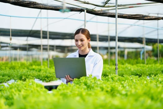 Woman Farmer harvesting vegetable and audit quality from hydroponics farm. Organic fresh vegetable, Farmer working with hydroponic vegetables garden harvesting, small business concepts