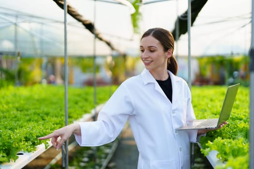 Woman Farmer harvesting vegetable and audit quality from hydroponics farm. Organic fresh vegetable, Farmer working with hydroponic vegetables garden harvesting, small business concepts