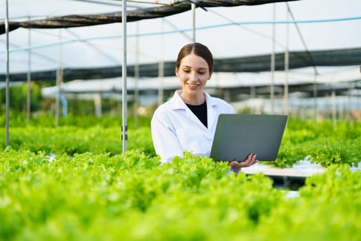 Woman Farmer harvesting vegetable and audit quality from hydroponics farm. Organic fresh vegetable, Farmer working with hydroponic vegetables garden harvesting, small business concepts