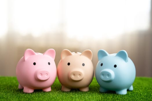Three piggy banks stand together. Money and finance. Joint business, planning. Diversification of investments, multiple bank accounts. Savings.