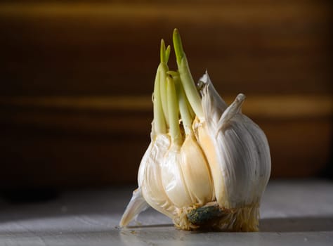 A garlic bulb with green sprouts stands on a countertop, embodying renewal amidst vintage kitchen decor.