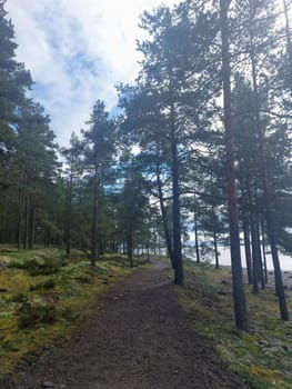 Lake Ladoga is a lake in the Republic of Karelia and Leningrad Oblast, the largest freshwater lake in Europe and the second largest lake in Russia after Lake Baikal. Pine forest on granite rocks.