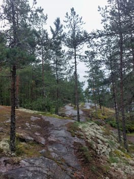 Lake Ladoga is a lake in the Republic of Karelia and Leningrad Oblast, the largest freshwater lake in Europe and the second largest lake in Russia after Lake Baikal. Pine forest on granite rocks.