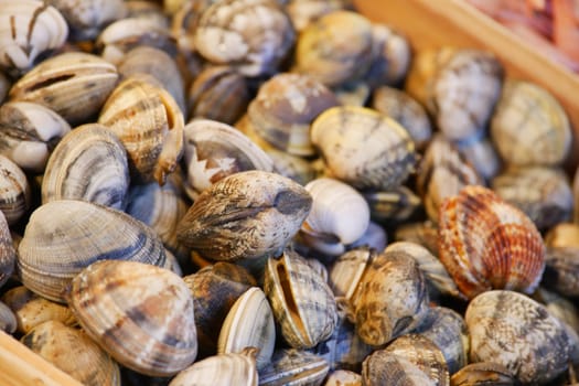 A large heap of fresh clams is now ready for sale at a bustling seafood market today