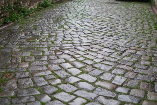 This image shows a closeup of a textured cobblestone street with an intricate pattern