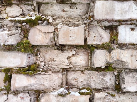 Moss covers an aged brick wall, showcasing its textured surface, perfect for adding text or creative design elements.
