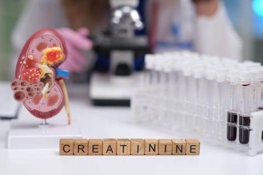 Delve into the significant role that creatinine plays in assessing kidney function and overall health evaluation