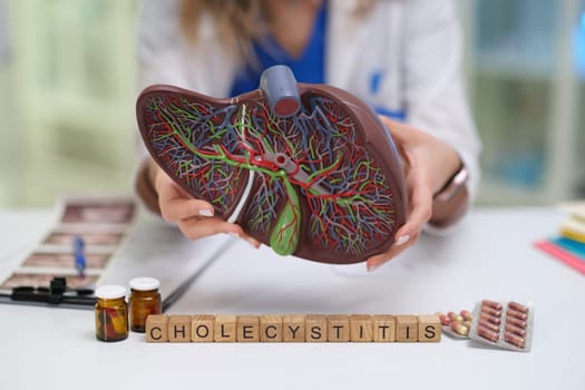 This anatomical model clearly illustrates the gallbladder along with its connections, emphasizing cholecystitis