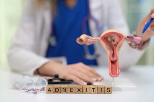 This is a comprehensive and detailed examination of adnexitis, incorporating an anatomical model and expert analysis