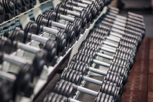 Colorful dumbbells lined up on rack inside clean russian fitness center, preparing for strength workout