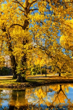 Autumn colors - fall in park with yellow leaves foliage trees reflecting in river water