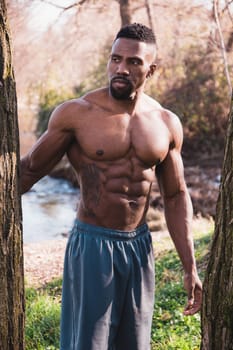 A shirtless man standing next to a tree. Photo of a shirtless man standing next to a tree in a natural setting
