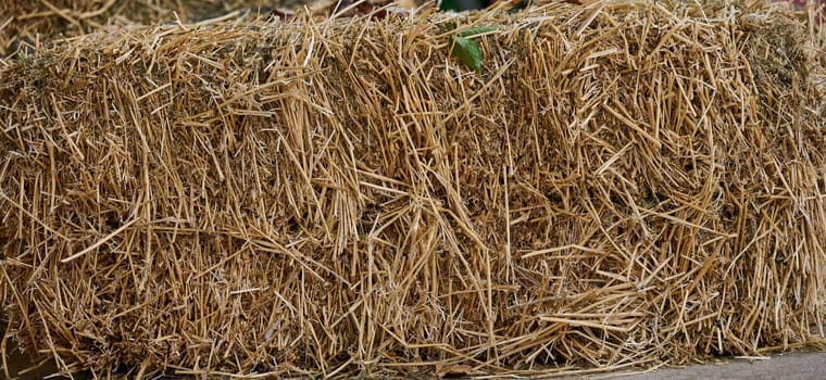Pressed bale of dry straw outdoors