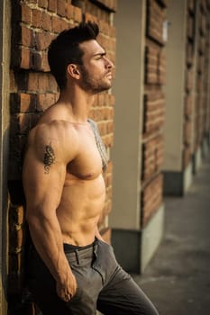 A shirtless man leaning against a brick wall