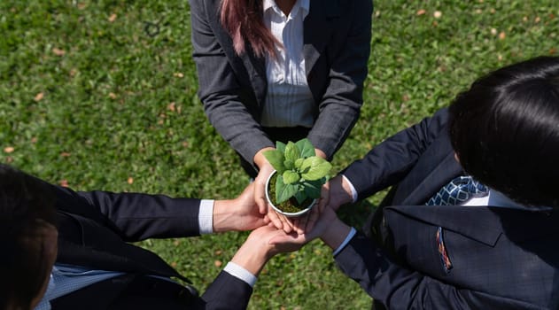 Business people hold plant or sprout together in unity and teamwork concept of eco company committed to corporate social responsible, reducing CO2 emission, ESG principle for sustainable future. Gyre