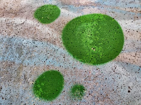 Bright green circles sit on a textured surface, showcasing natural hues and creating an intriguing visual display with space for text.