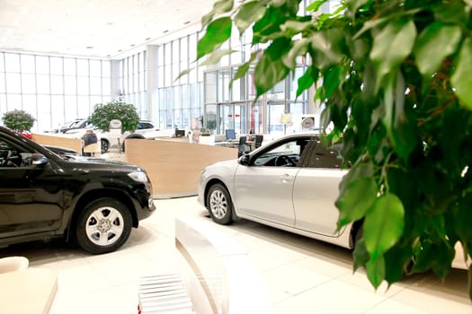 Kazan, Russia - November 25, 2022: Cars in showroom of dealership Toyota in Kazan in Russia