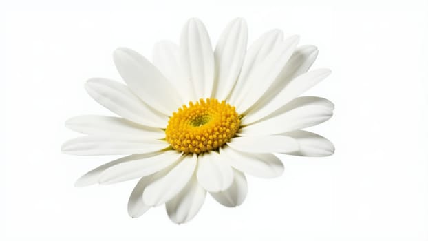 A delicate white daisy showcases its vibrant yellow center, standing gracefully against a muted backdrop. The petals radiate outward, embodying the beauty of nature's simplicity and charm.