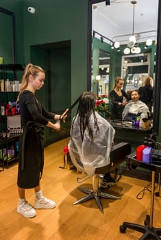 In a beauty salon, a girl client is having her hair styled and cut. A brunette girl with long hair is a client of a beauty salon.