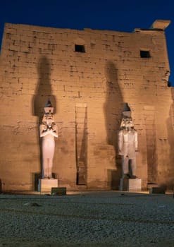 Massive numerous stone columns supporting roof with statues in Luxor Temple in Egypt illuminated at night