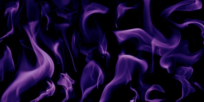 Verschiedene Flammen von einem Feuer in lila vor einem schwarzen Hintergrund