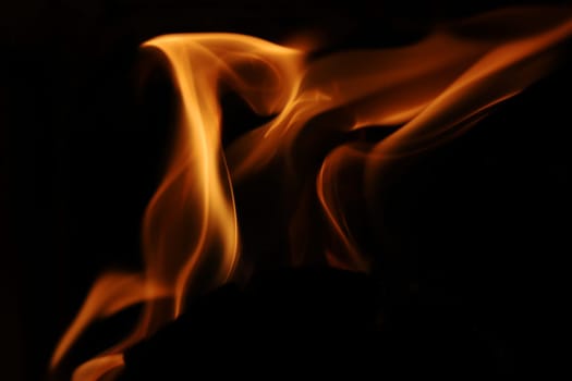 Flammen von einem Feuer vor einem schwarzen Hintergrund