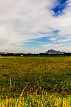 Views at Bear Butte State Park, South Dakota in Summer