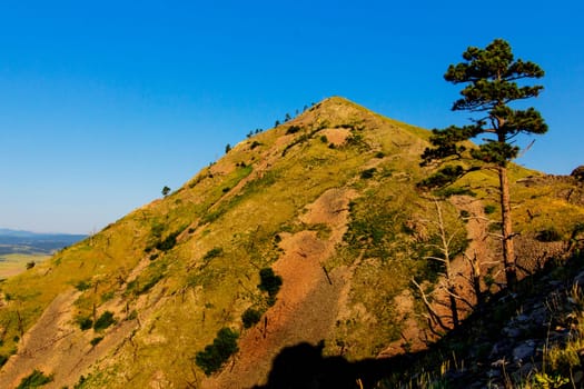 Views at Bear Butte State Park, South Dakota in Summer