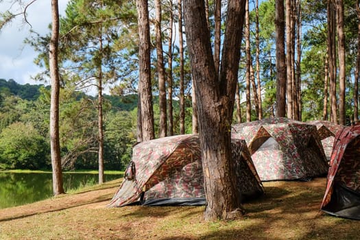 Camping on the lake in the pine forest at Pang Tong Under Royal Forest Park ( Pang Ung ), Mae Hong Son, Thailand. Pang Ung is a popular place to stay in a camping in the winter.
