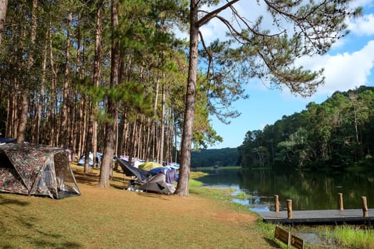 Camping on the lake in the pine forest at Pang Tong Under Royal Forest Park ( Pang Ung ), Mae Hong Son, Thailand. Pang Ung is a popular place to stay in a camping in the winter.