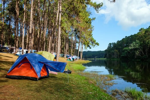 Camping on the lake in the pine forest at Pang Tong Under Royal Forest Park ( Pang Ung ), Mae Hong Son, Thailand. Pang Ung is a popular place to stay in a camping in the winter.