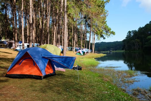 Camping on the lake in the pine forest at Pang Tong Under Royal Forest Park ( Pang Ung ), Mae Hong Son, Thailand. Pang Ung is a popular place to stay in a camping in the winter.