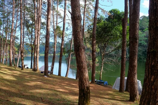 Camping on the lake in the pine forest at Pang Tong Under Royal Forest Park ( Pang Ung ), Mae Hong Son, Thailand. Pang Ung is a popular place to stay in a camping in the winter.