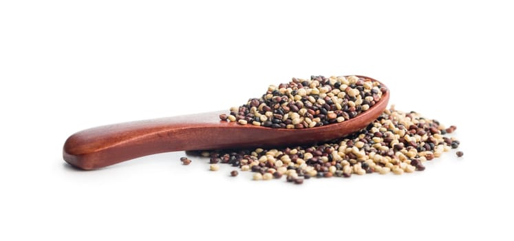 Mixed uncooked quinoa seeds in scoop isolated on a white background.