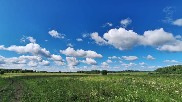 Vibrant summer landscape with blue sky and fluffy clouds in a green meadow.