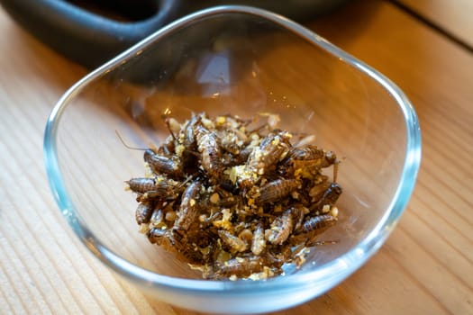 Roasted crickets in bowl: edible insects and sustainable protein source.