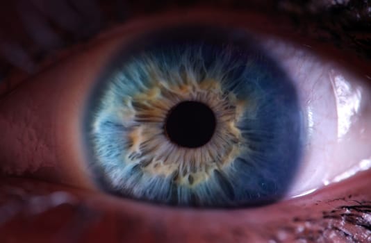 This is a stunning and detailed closeup image that showcases the vibrant colors and intricate patterns of an eye